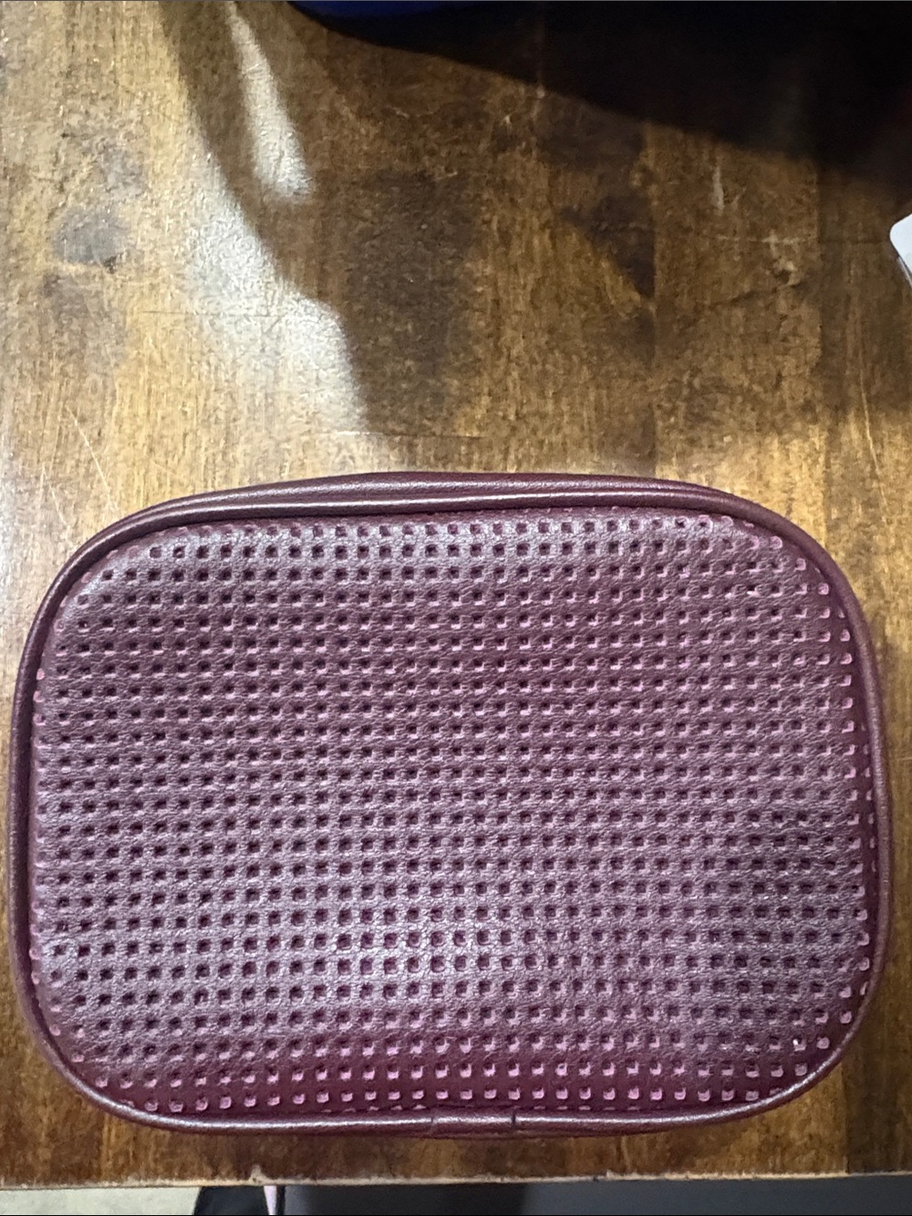 Cole Haan leather makeup or travel bag